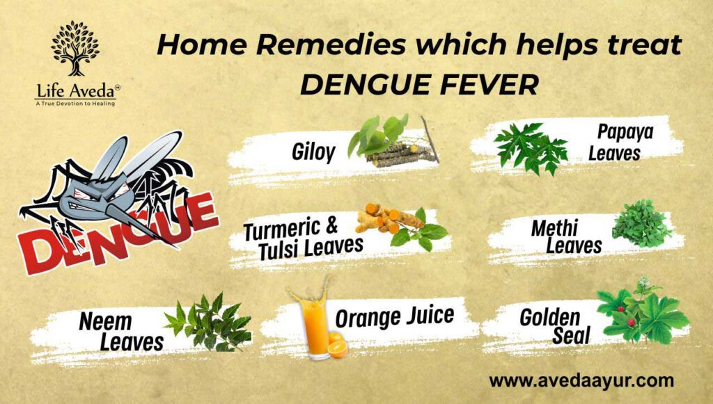Home Remedies Dengue 1024x581 