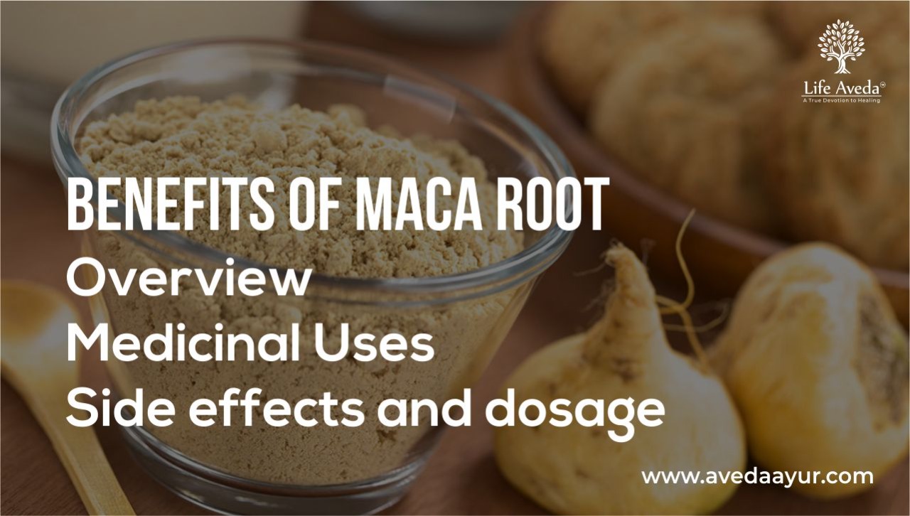 13 Incredible Health Benefits of Maca Roots YOU NEED TO KNOW