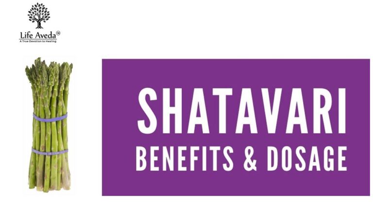 Medicinal use of shatavari