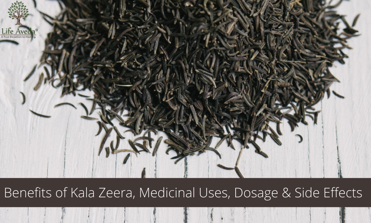 Benefits of Kala Jeera, Medicinal Uses Dosage & Side effects