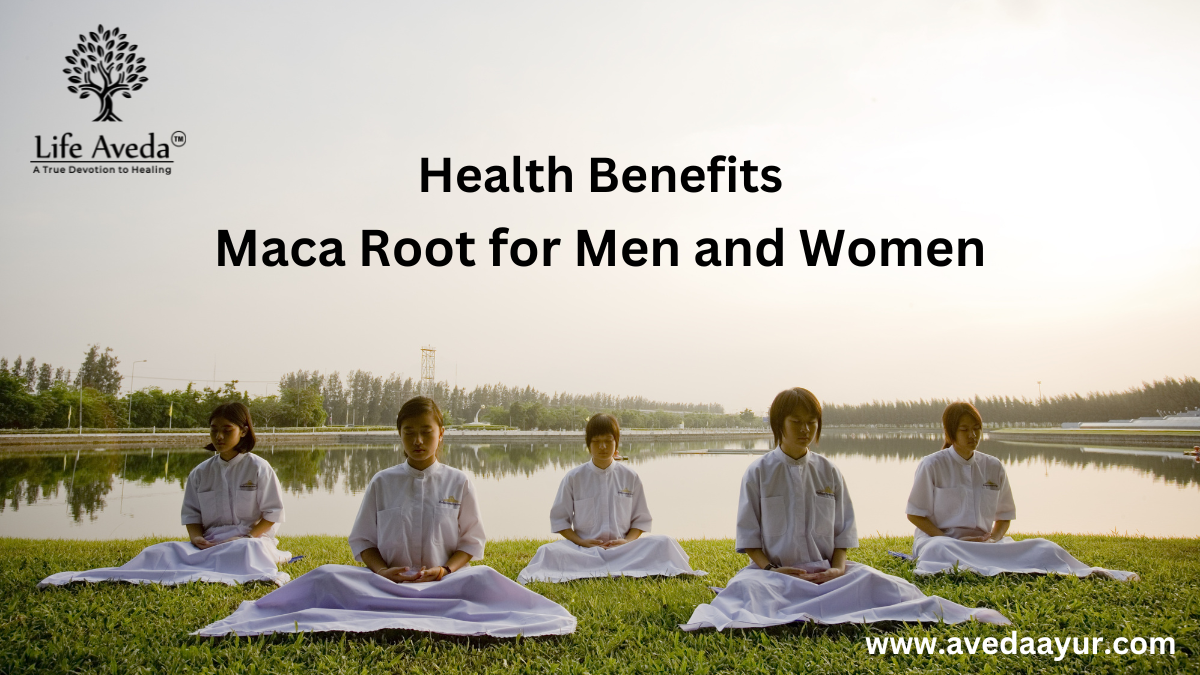 The Surprising Health Benefits of Maca Root for Men and Women