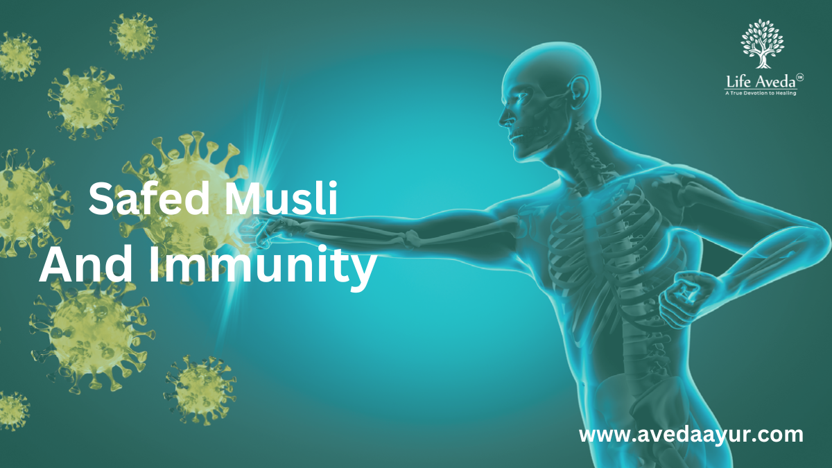 Safed Musli for Immunity: Strengthening Your Body's Defenses Naturally