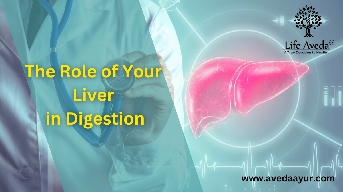 The Importance and Role of Liver in Digestion