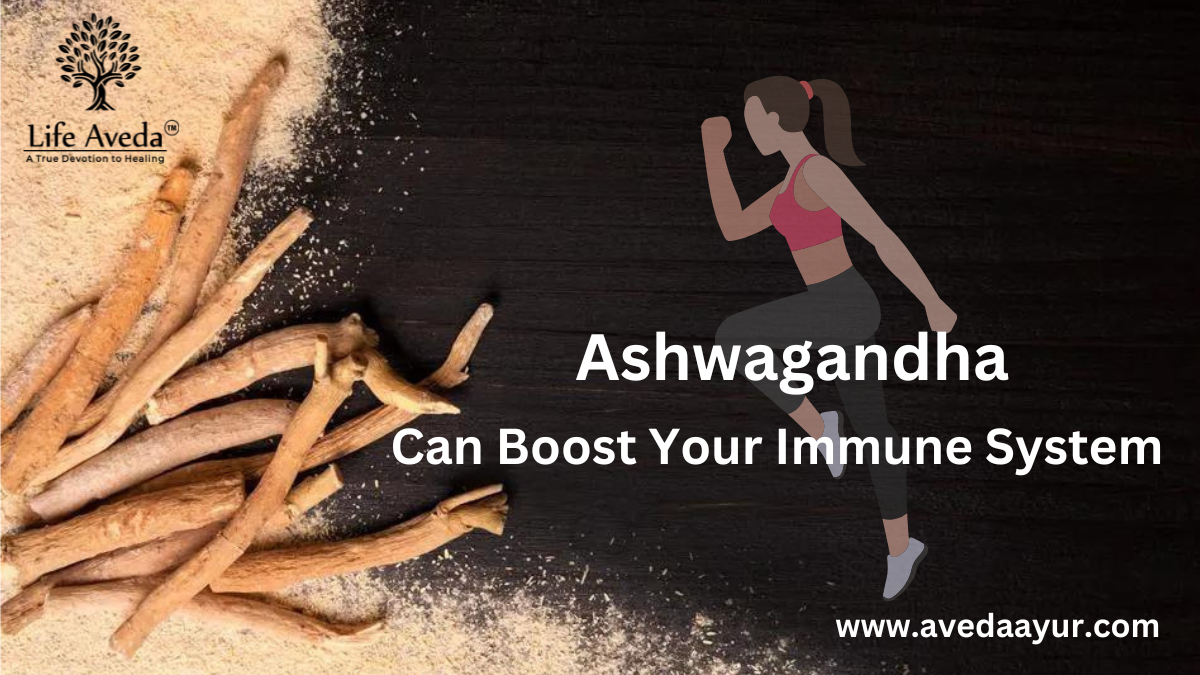 How Ashwagandha Can Boost Your Immune System