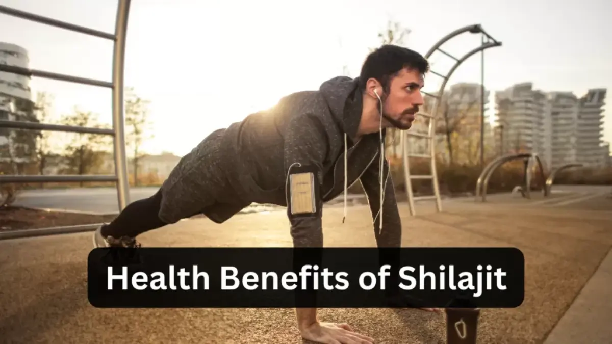 Health Benefits of Using Shilajit