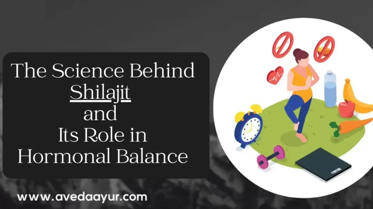 Shilajit Hormonal Balance