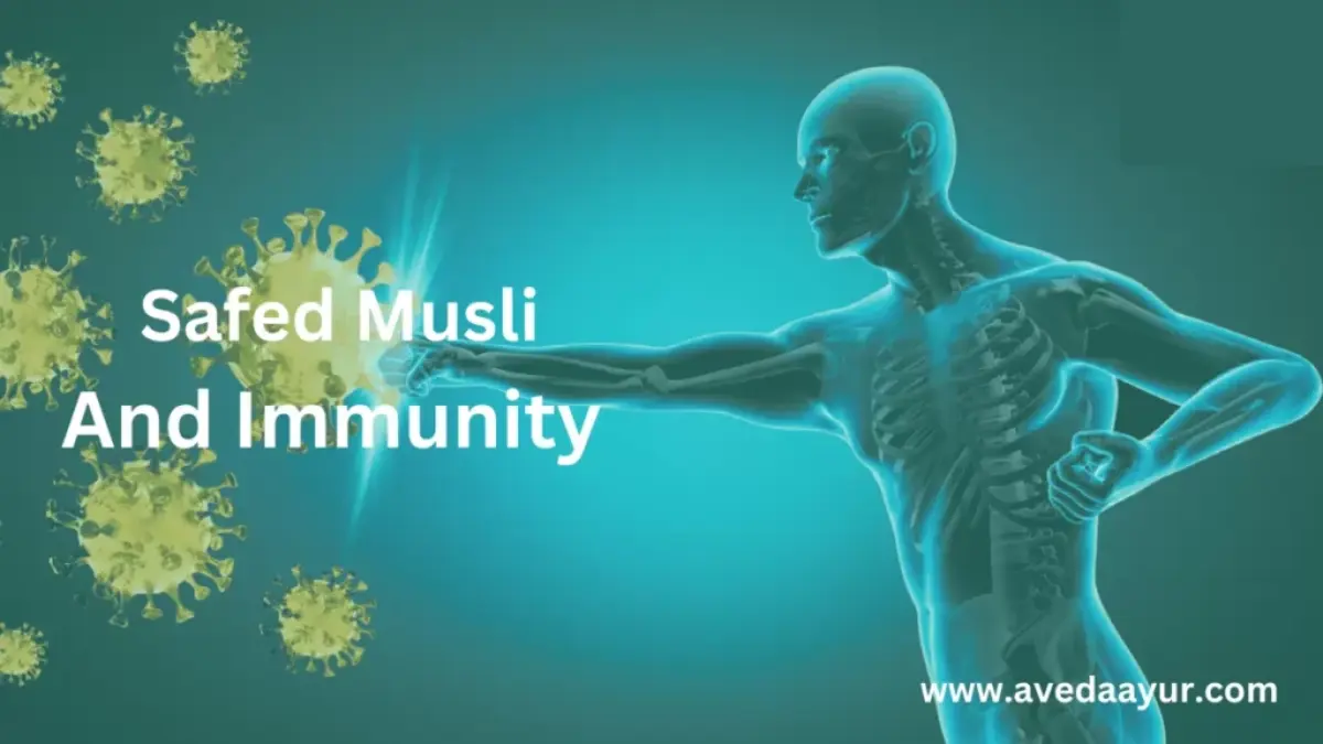 Safed Musli for Immunity