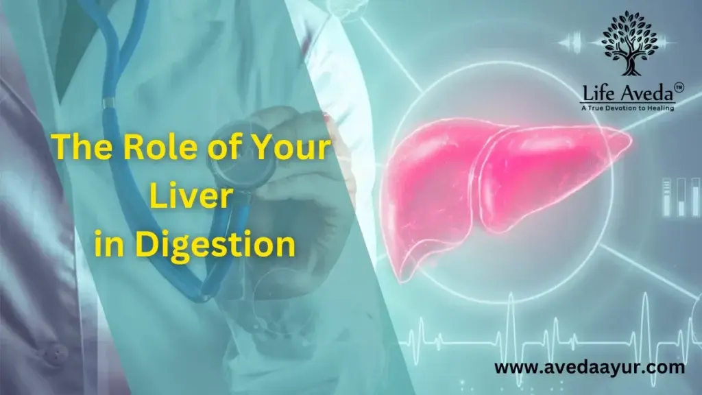 Liver in Digestion