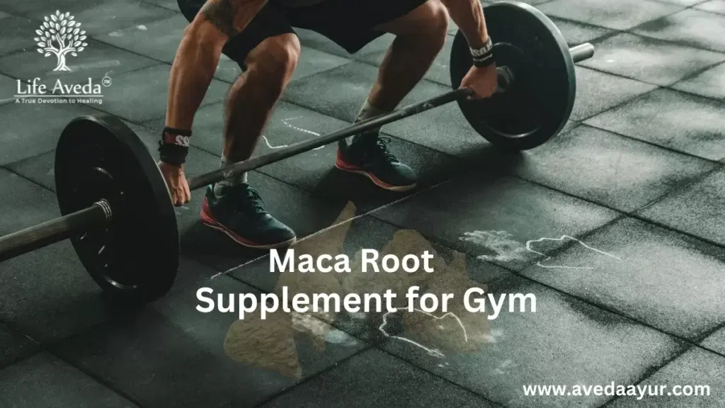 Maca Root for gym