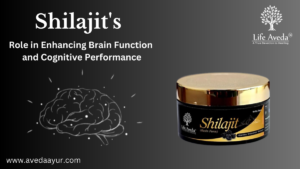 Shilajit and Its Role in Enhancing Brain Function and Cognitive Performance