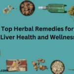 Herbal Remedies for Liver Health and Wellness