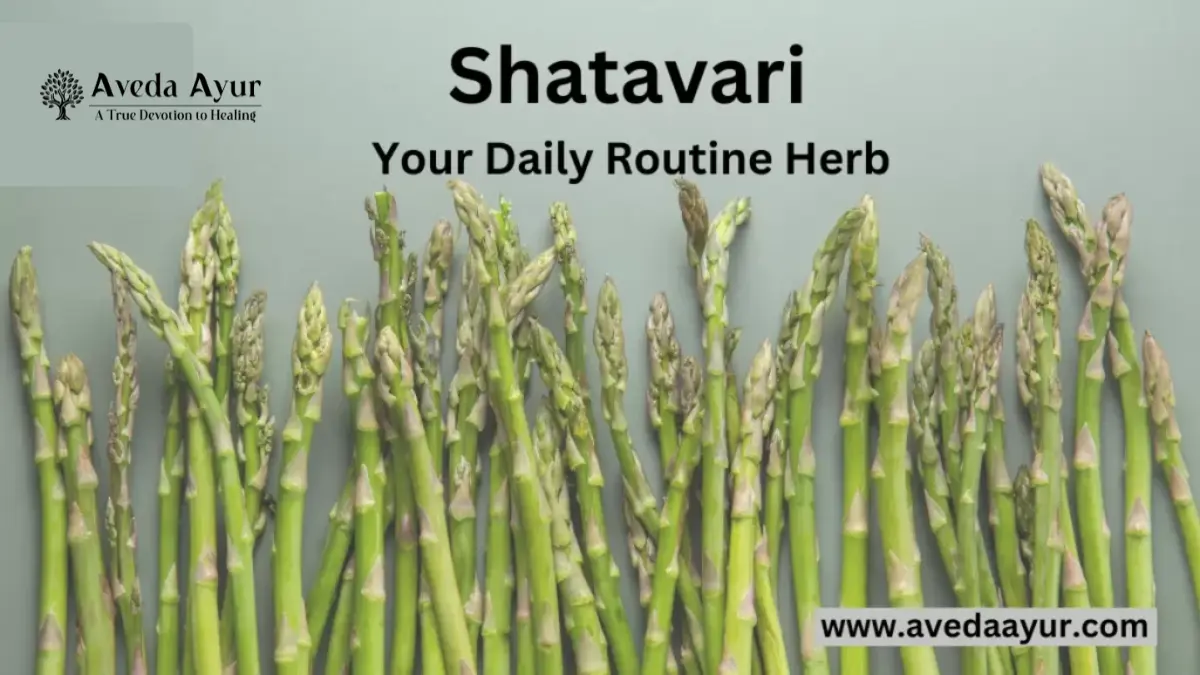 Shatavari