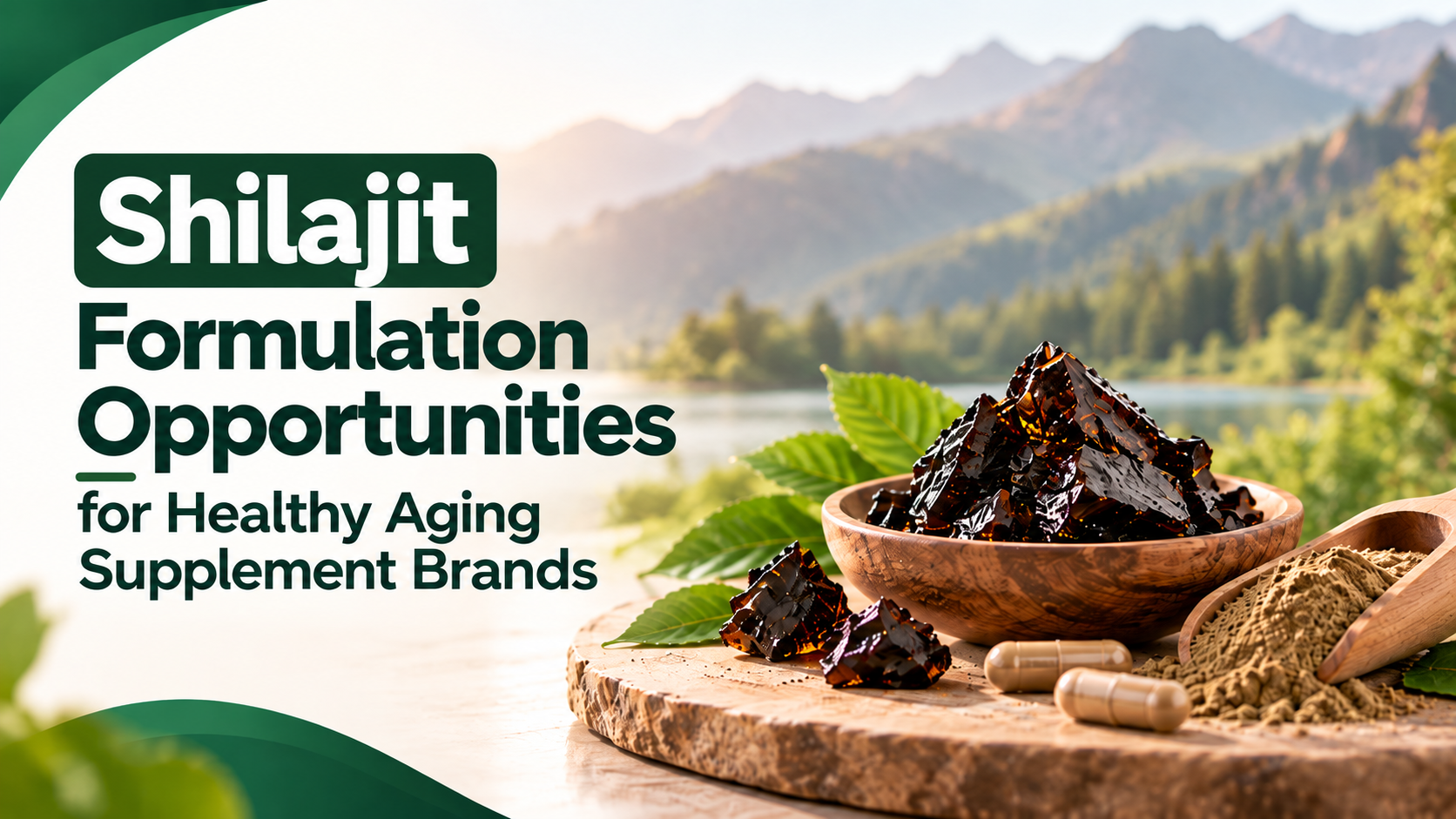 Shilajit Wellness Formulation