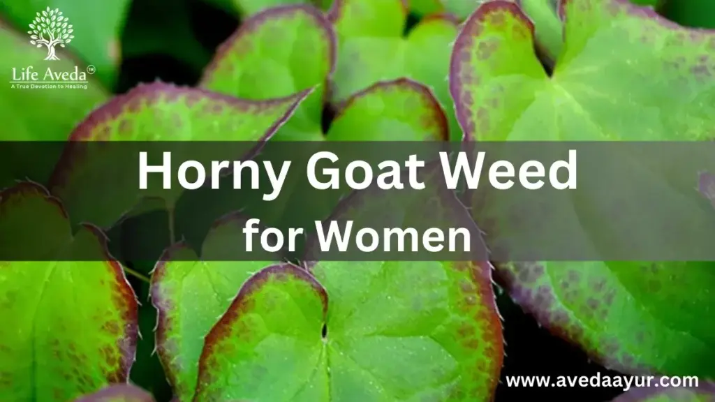 Horny Goat Weed