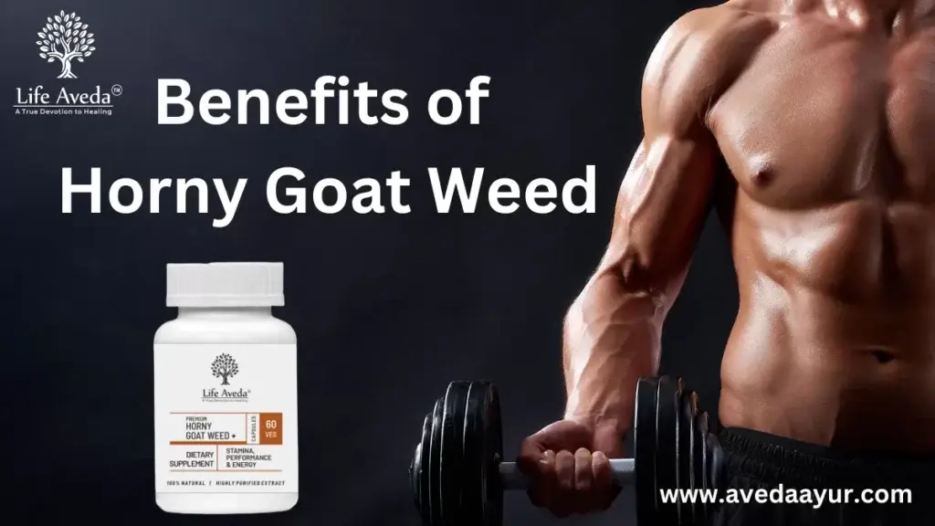 Benefits of Horny Goat Weed