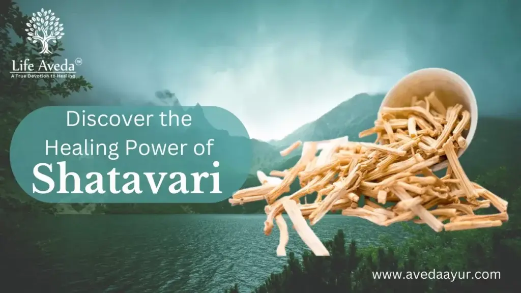 Healing Power of Shatavari
