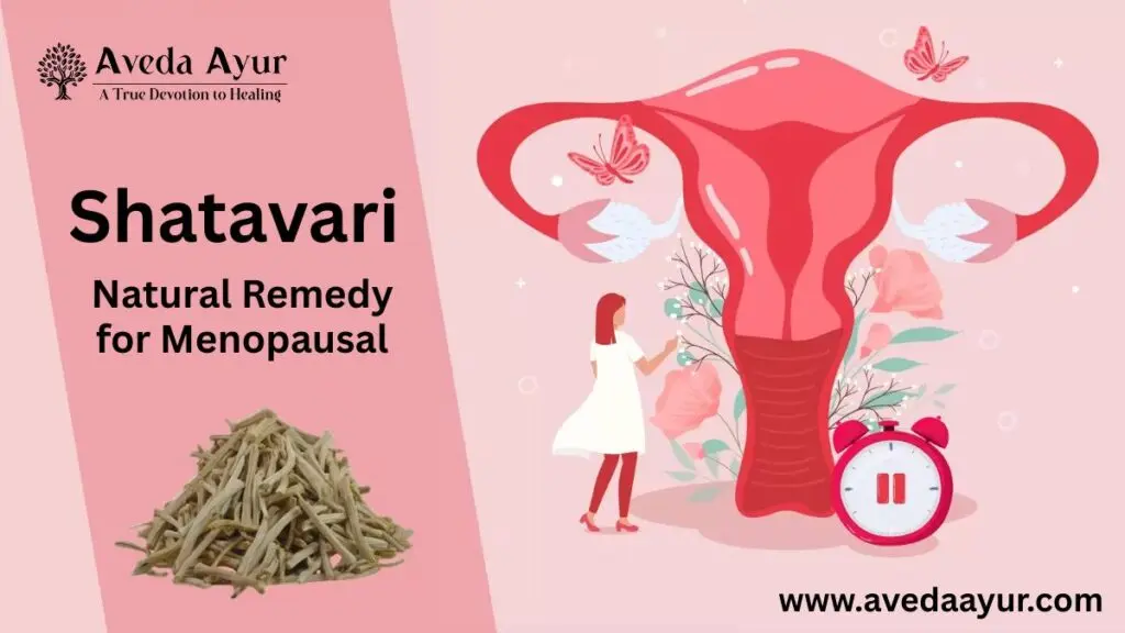 Shatavari as a Natural Remedy for Menopausal with Aveda Ayur logo