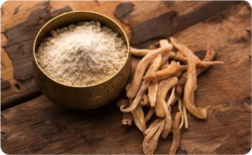 Top 5 Ways To Include Safed Musli In Your Daily Routine.