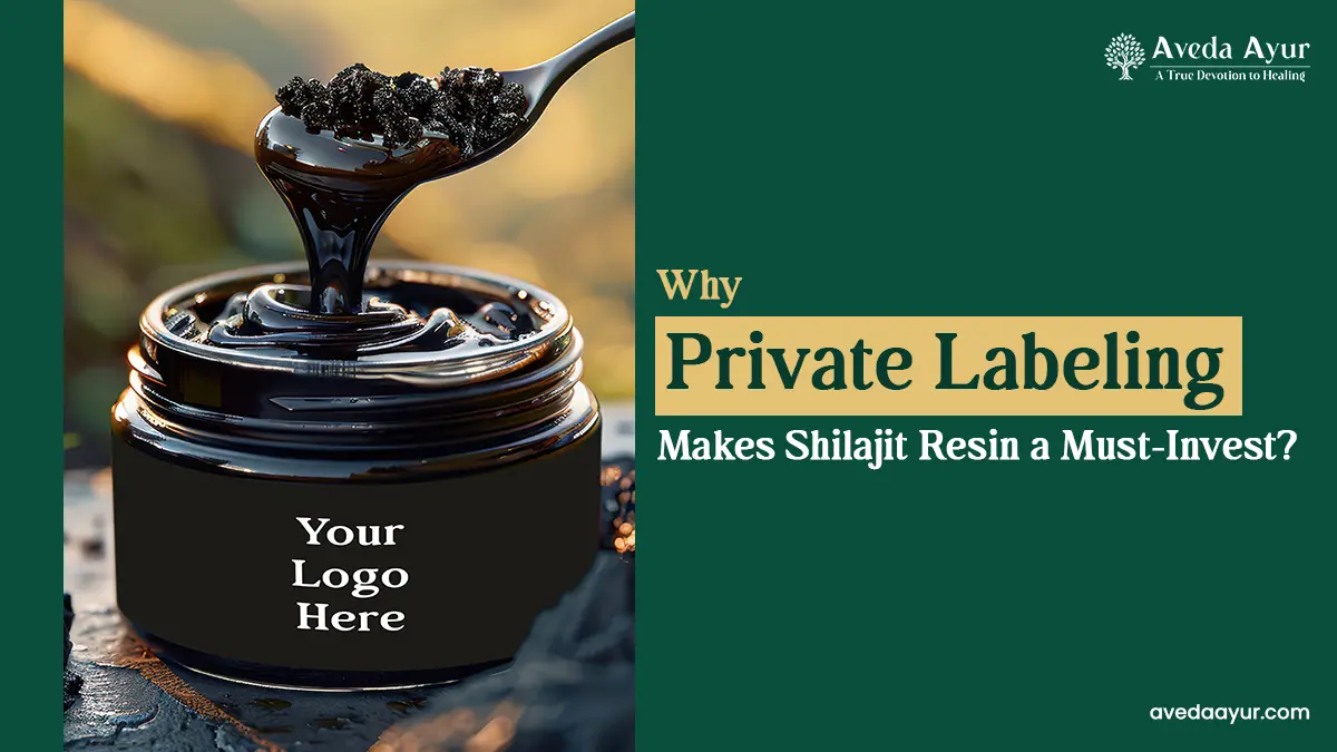 Why Private Labeling Makes Shilajit Resin a Must-Invest?