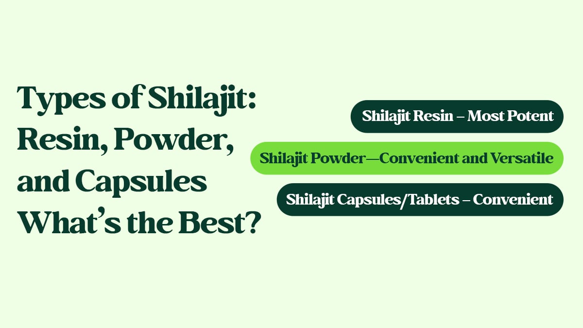 Shilajit Resin