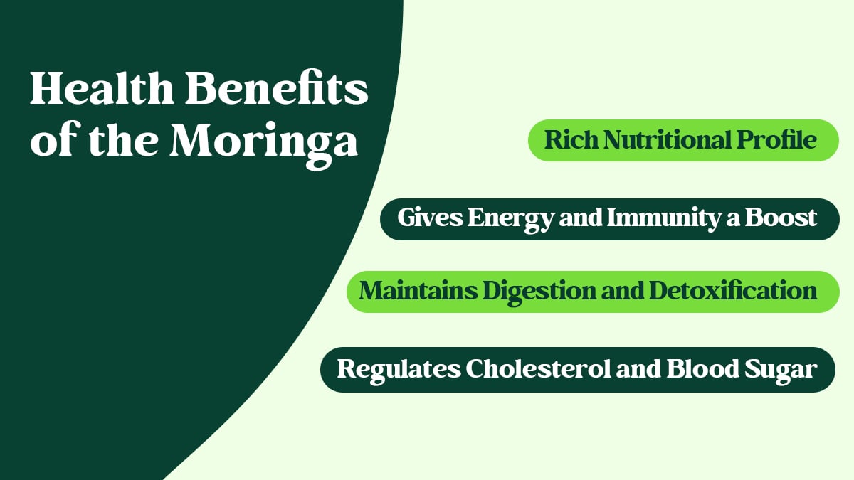 Health Benefits of Moringa