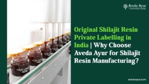Origional Shilajit