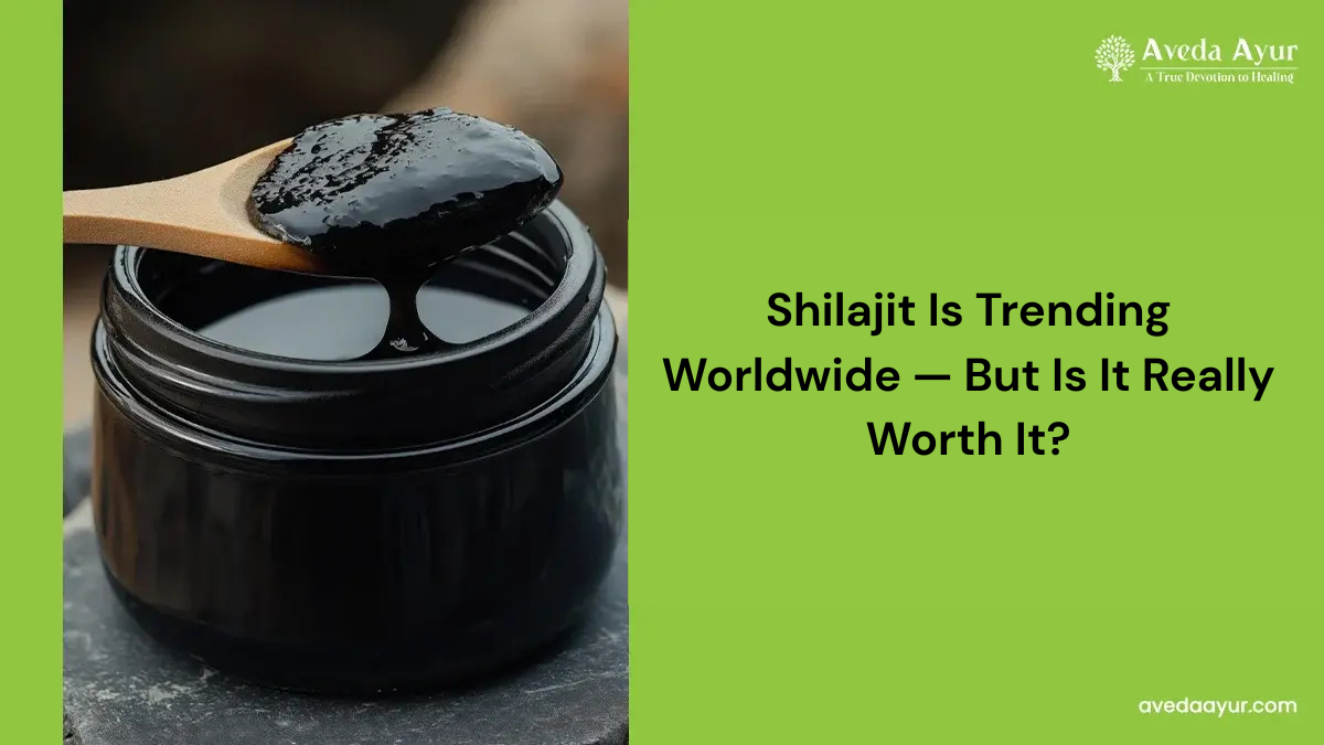 Shilajit Is Trending