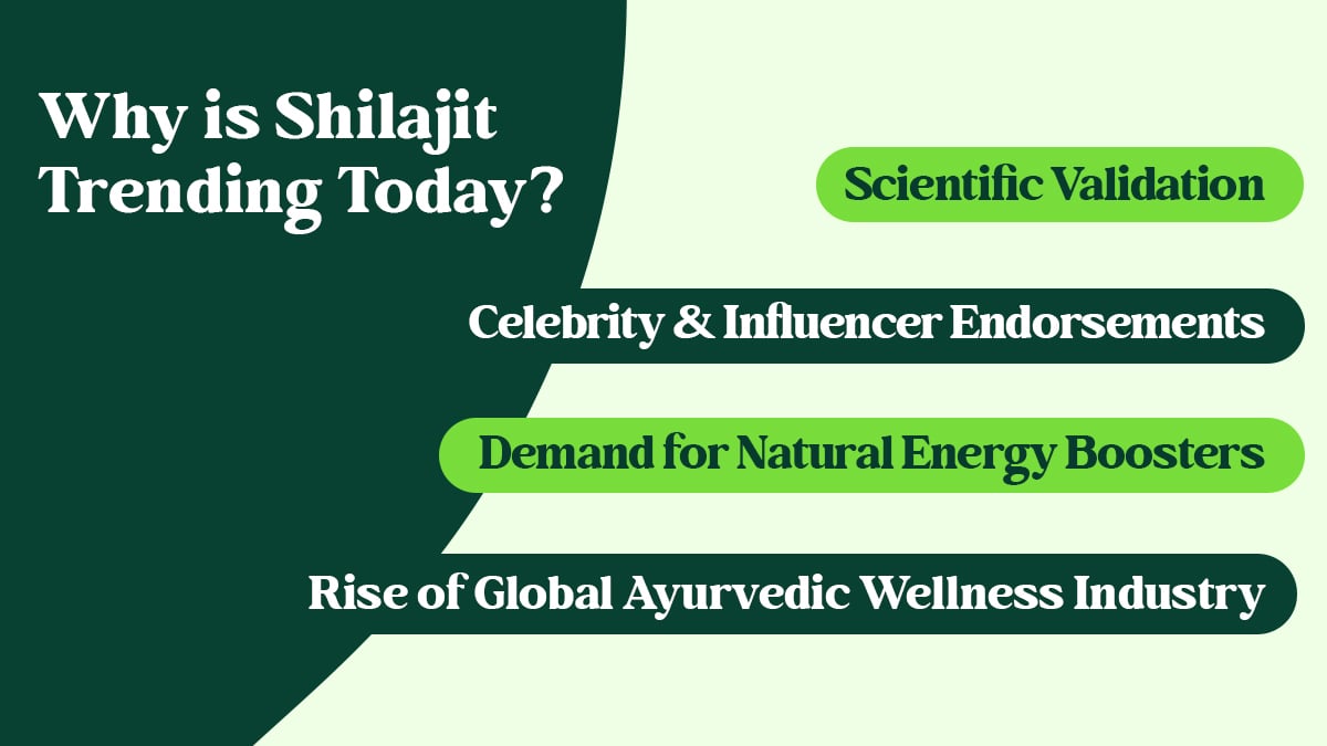 Shilajit Trending