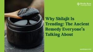 Why Shilajit Is Trending