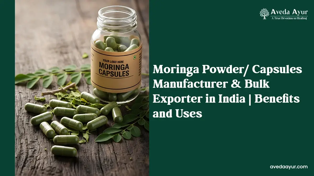 Moringa Powder/ Capsules Manufacturer & Bulk Exporter in India | Benefits and Uses