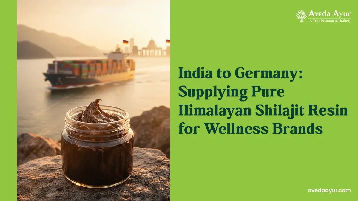 Pure Himalayan Shilajit Resin