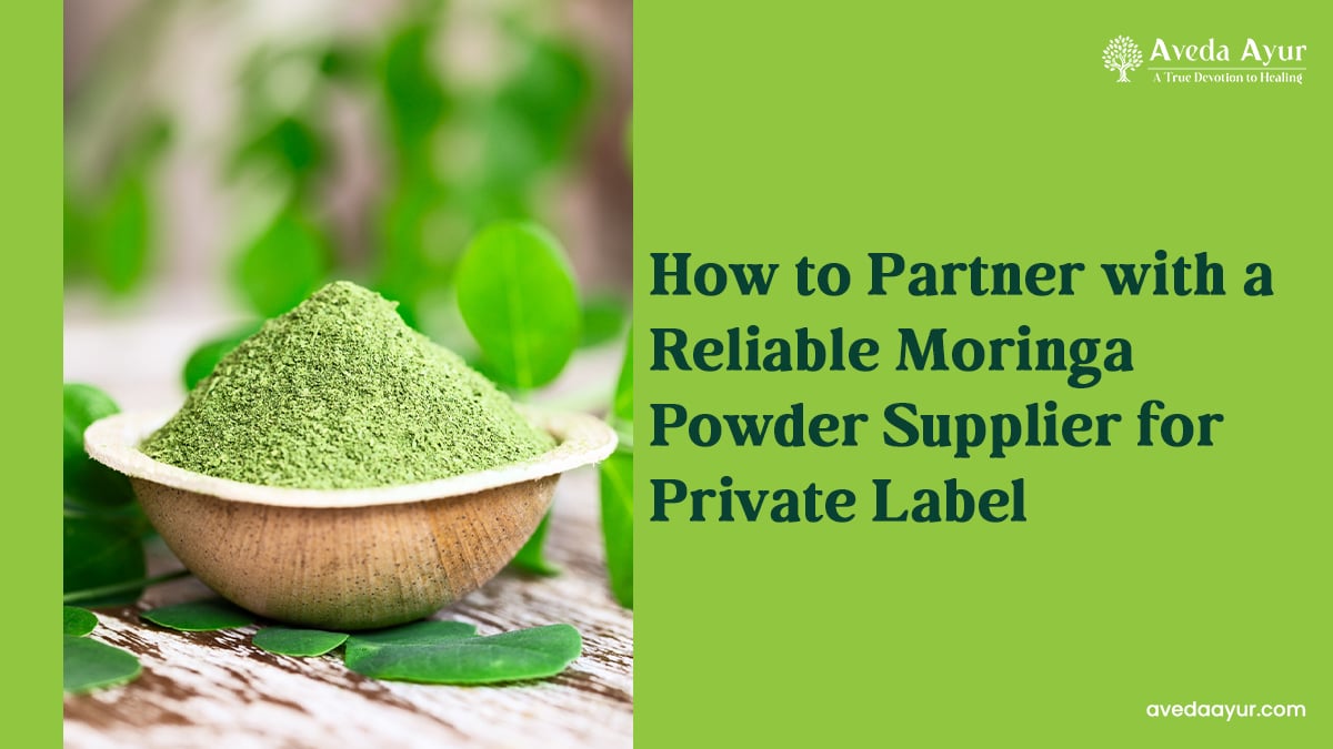Moringa Powder Supplier