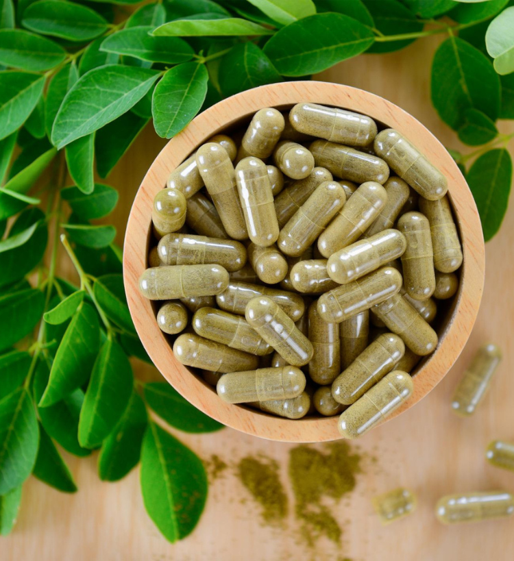 Moringa powder supplier