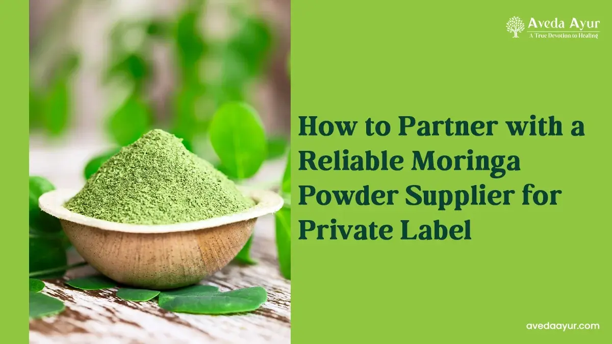 How to Partner with a Reliable Moringa Powder Supplier for Private Label
