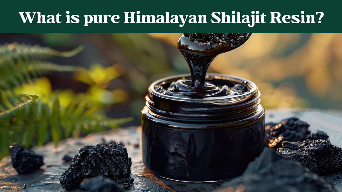 Himalayan Shilajit Resin