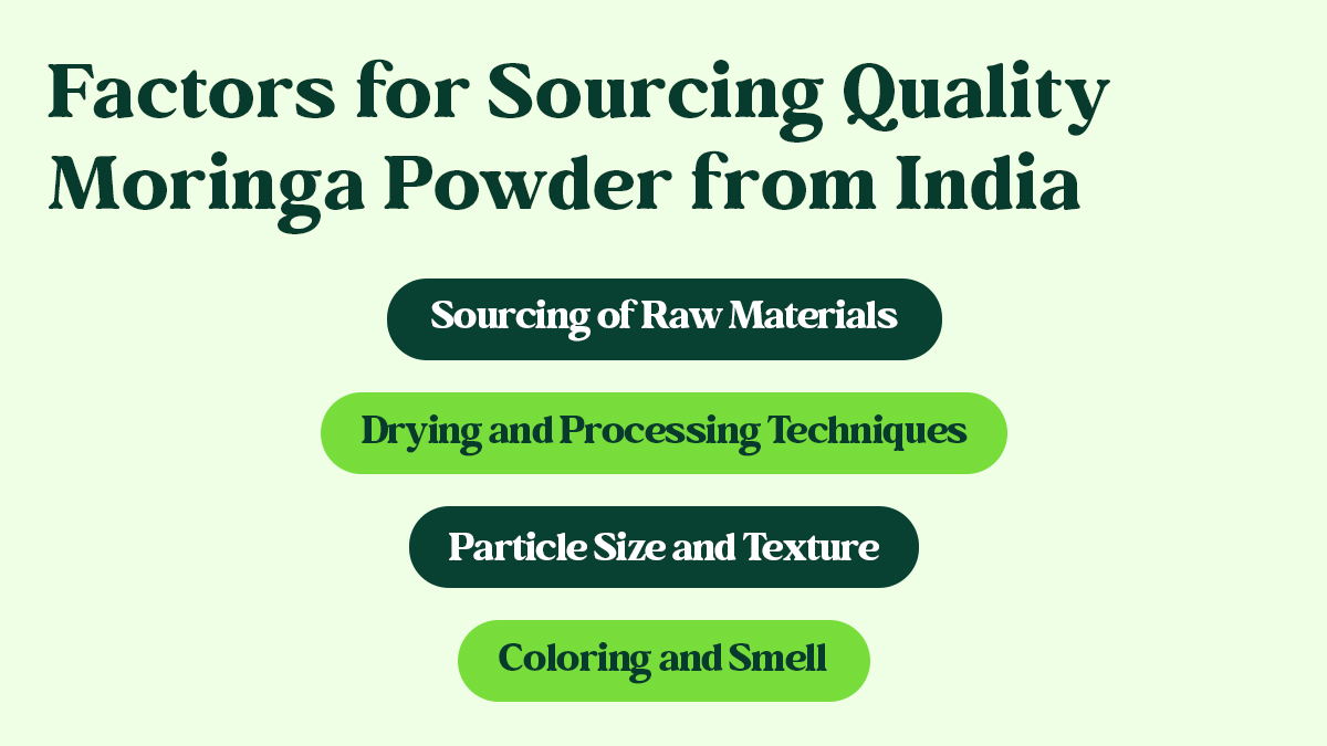Moringa Powder from India
