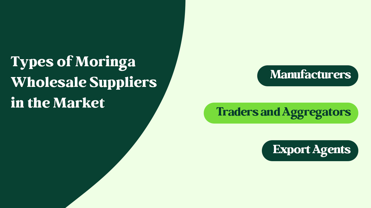 Moringa Wholesale Suppliers