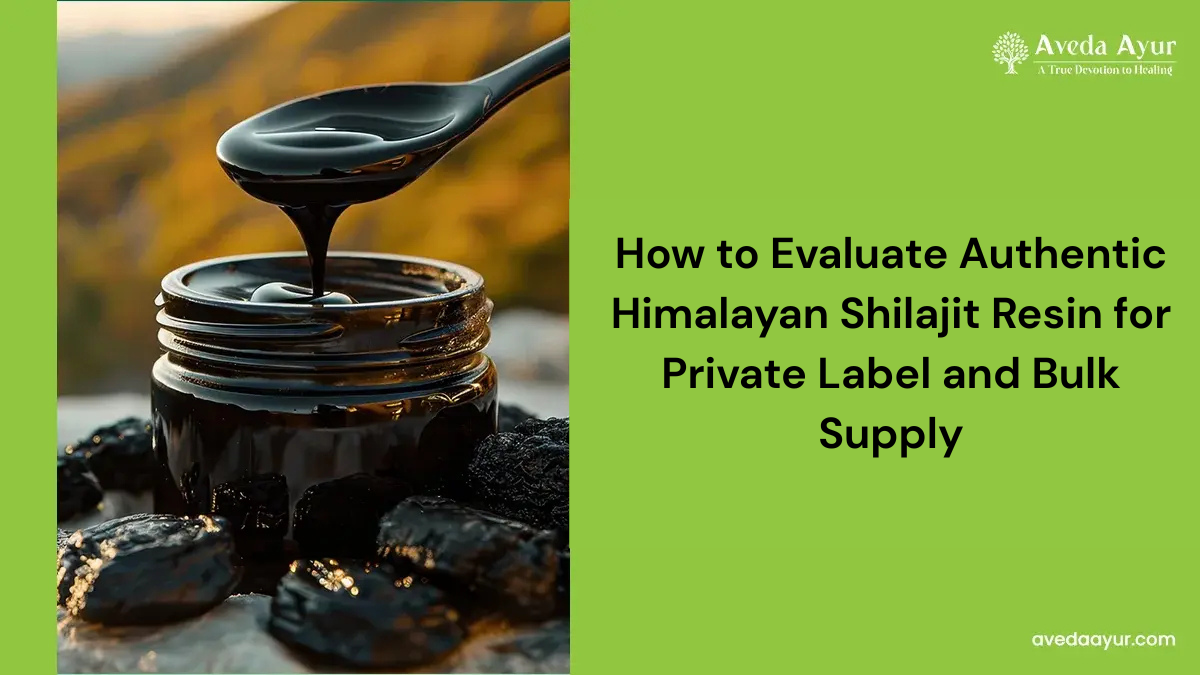 Shilajit Resin Bulk Supply