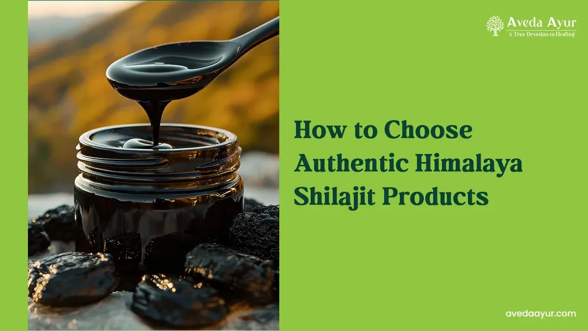 Shilajit Product