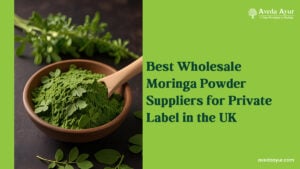 Moringa Powder Suppliers