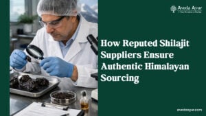 Pure Himalayan Shilajit