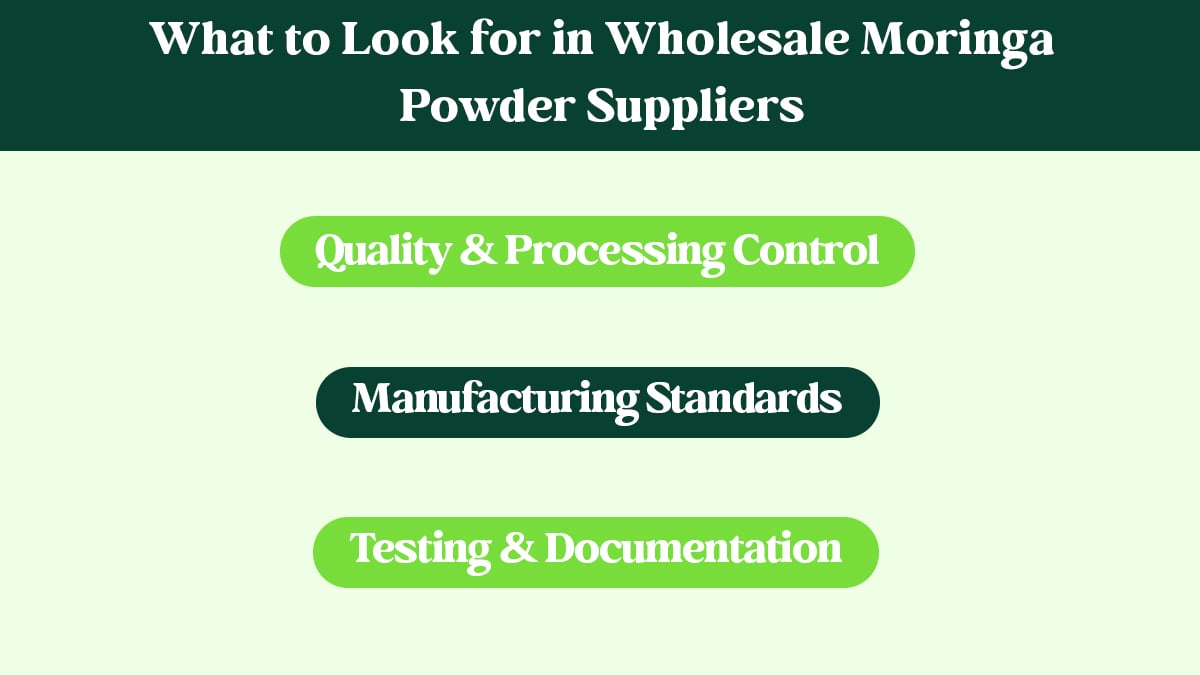 Wholesale Moringa Powder Suppliers