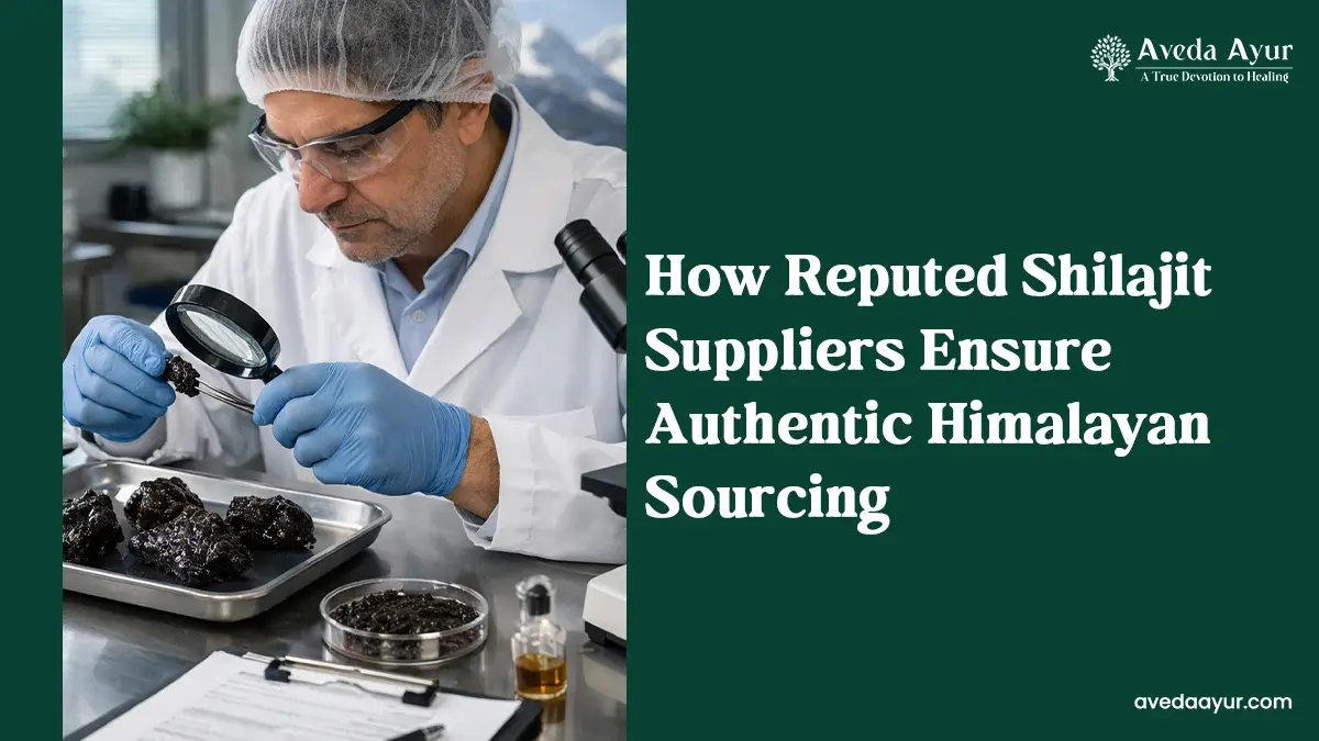 How Reputed Shilajit Suppliers Ensure Authentic Himalayan Sourcing