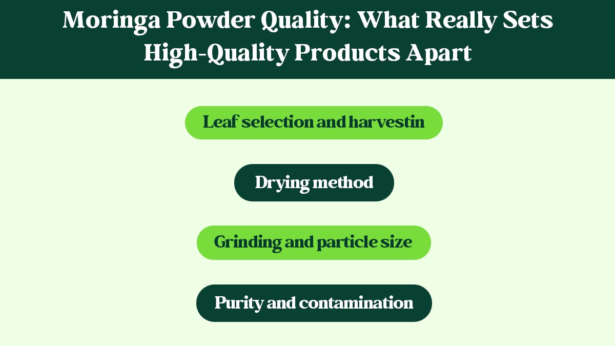 Moringa Powder Quality