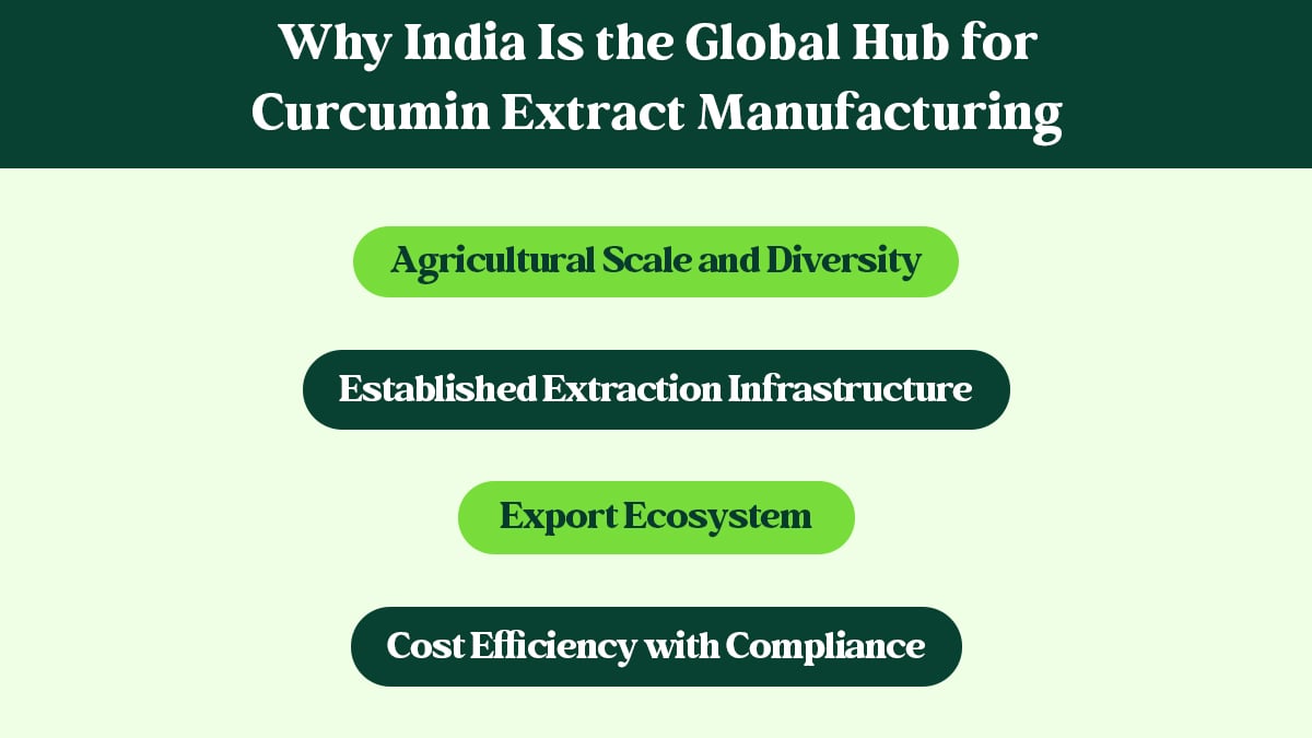 Curcumin Extract Manufacturing