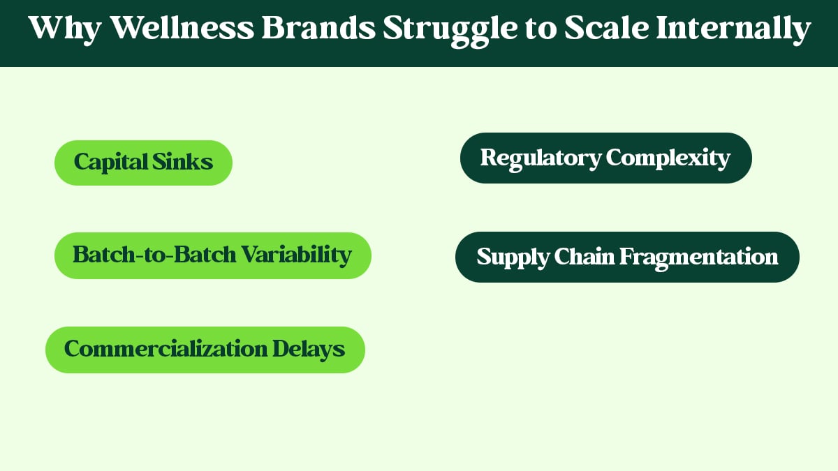 Why Wellness Brands Struggle to Scale