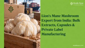 Lion’s Mane Mushroom Export from India