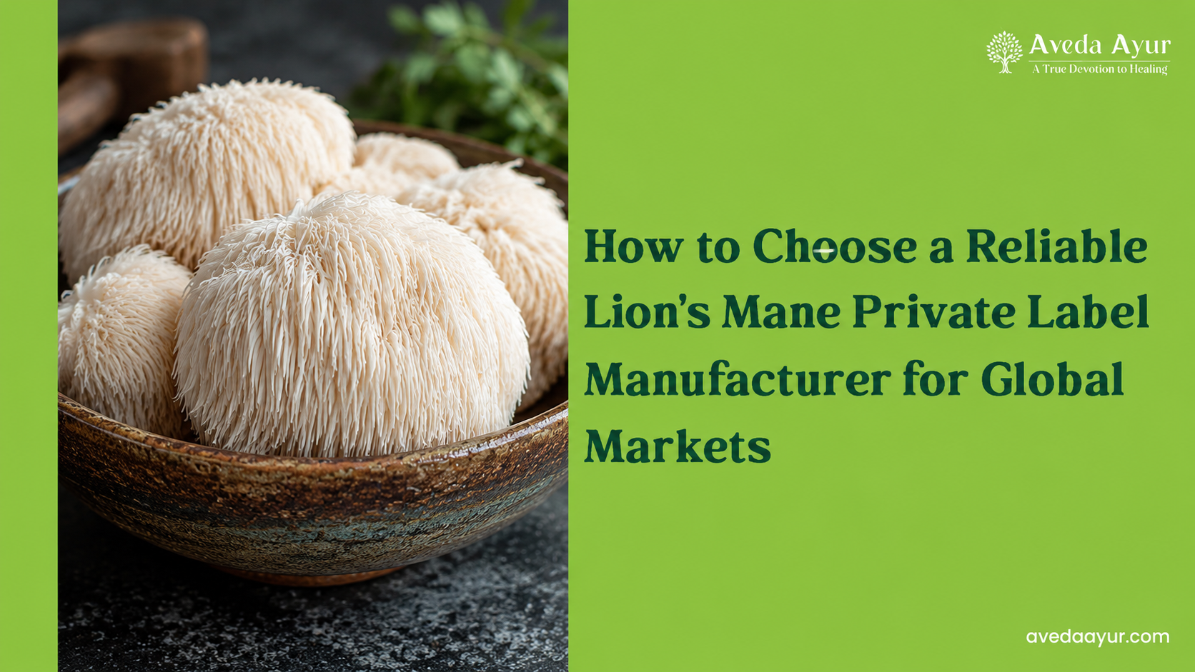 Lion’s Mane Private Label Manufacturer