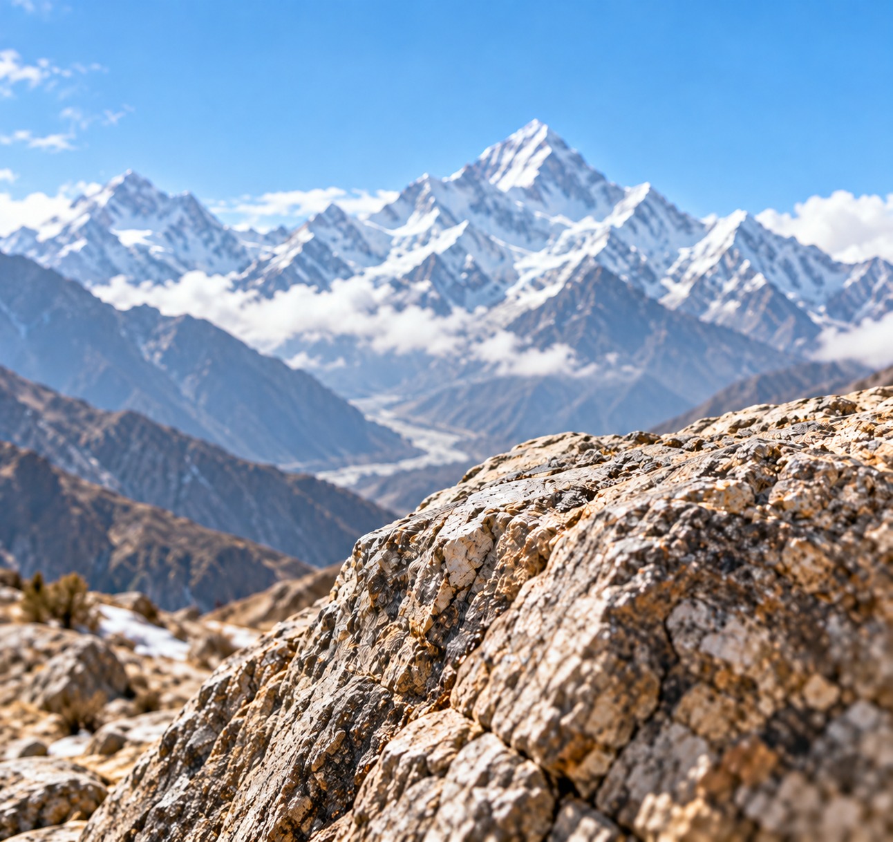 High Altitude Himalayan Sourcing