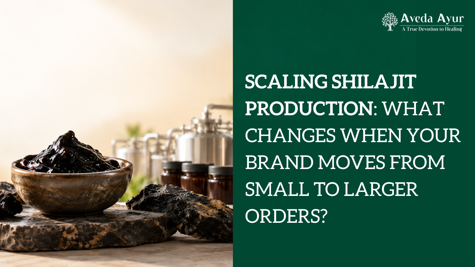 Scaling Shilajit Production